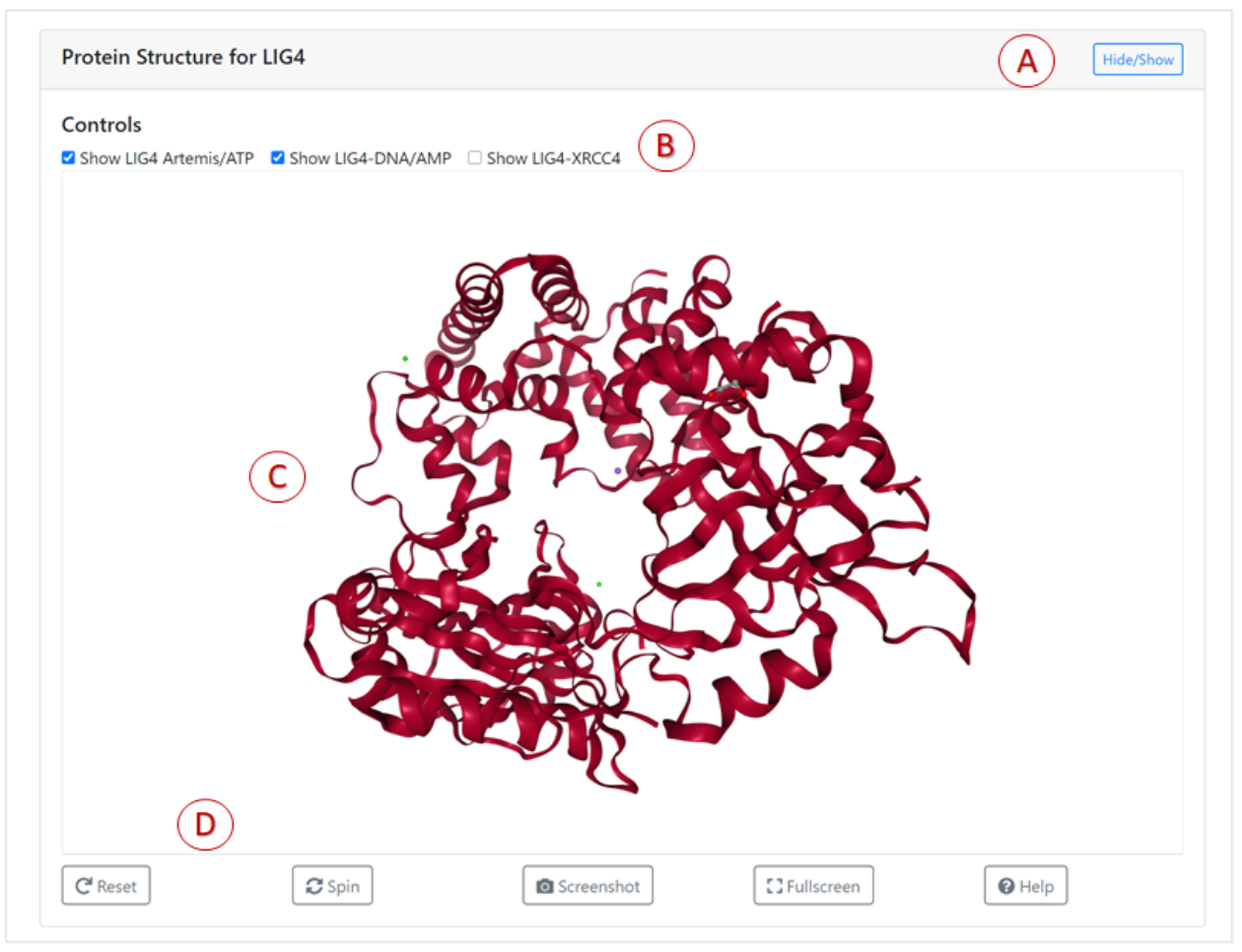 protein structure