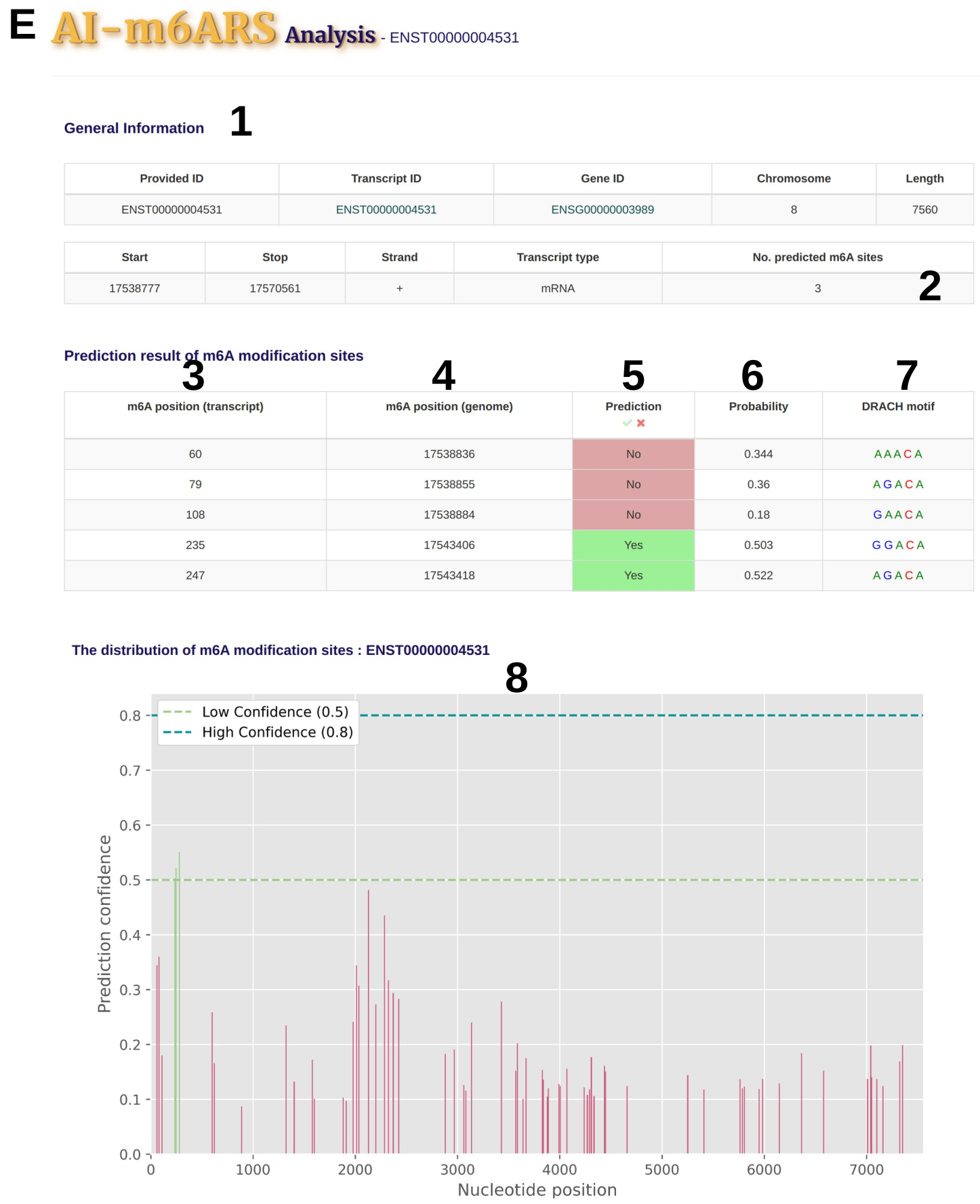 Figure E - Results (Detailed)