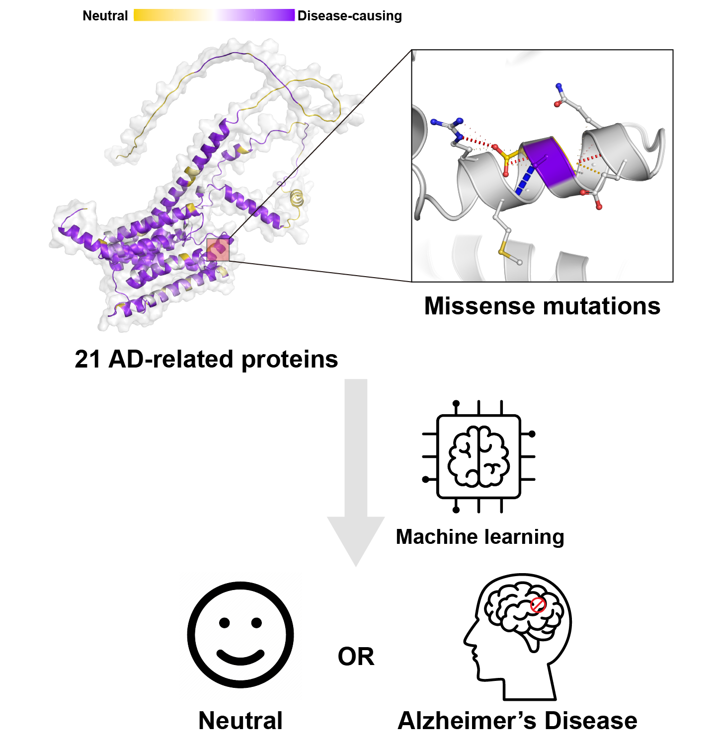 AD mutation pipeline