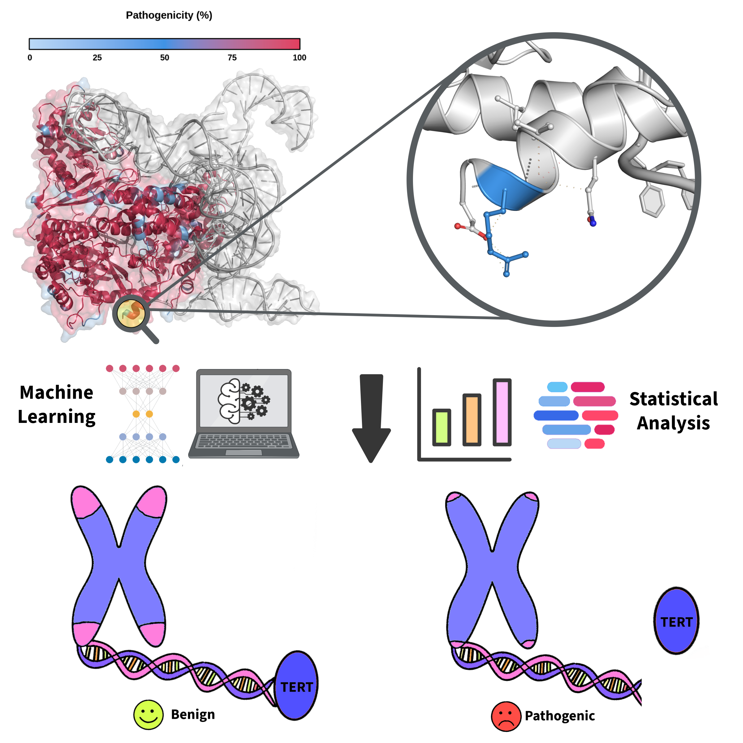 graphical abstract