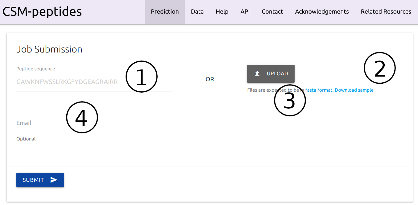 Input CSM-peptides