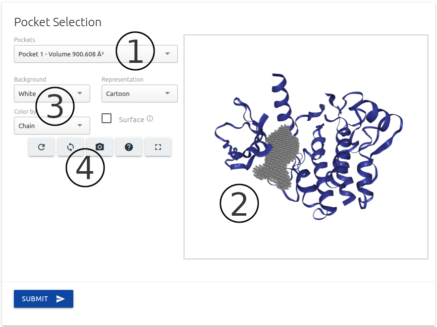 Pocket selection for biological ligand classification