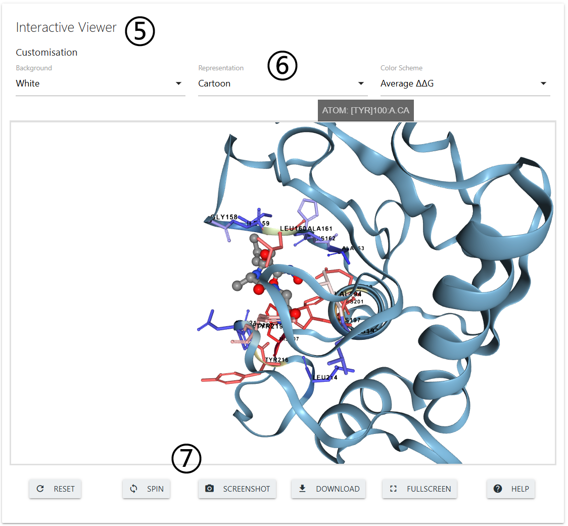 DDMuffin Saturation Mutagenesis Results page 3