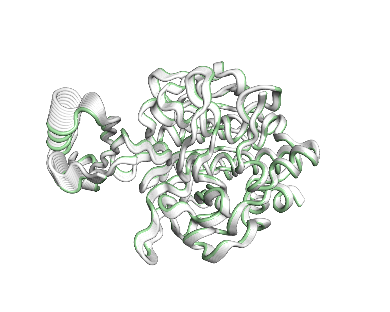 Protein-Protein Interaction