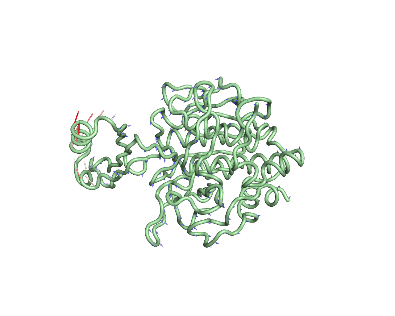 Protein-Protein Interaction