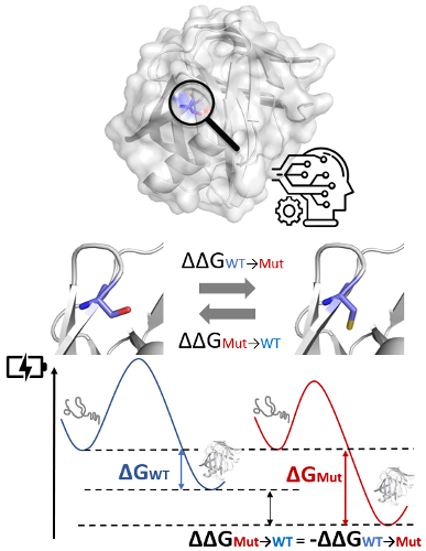 PDB: 1CSE - COMPLEX FORMED BETWEEN SUBTILISIN CARLSBERG AND EGLIN C