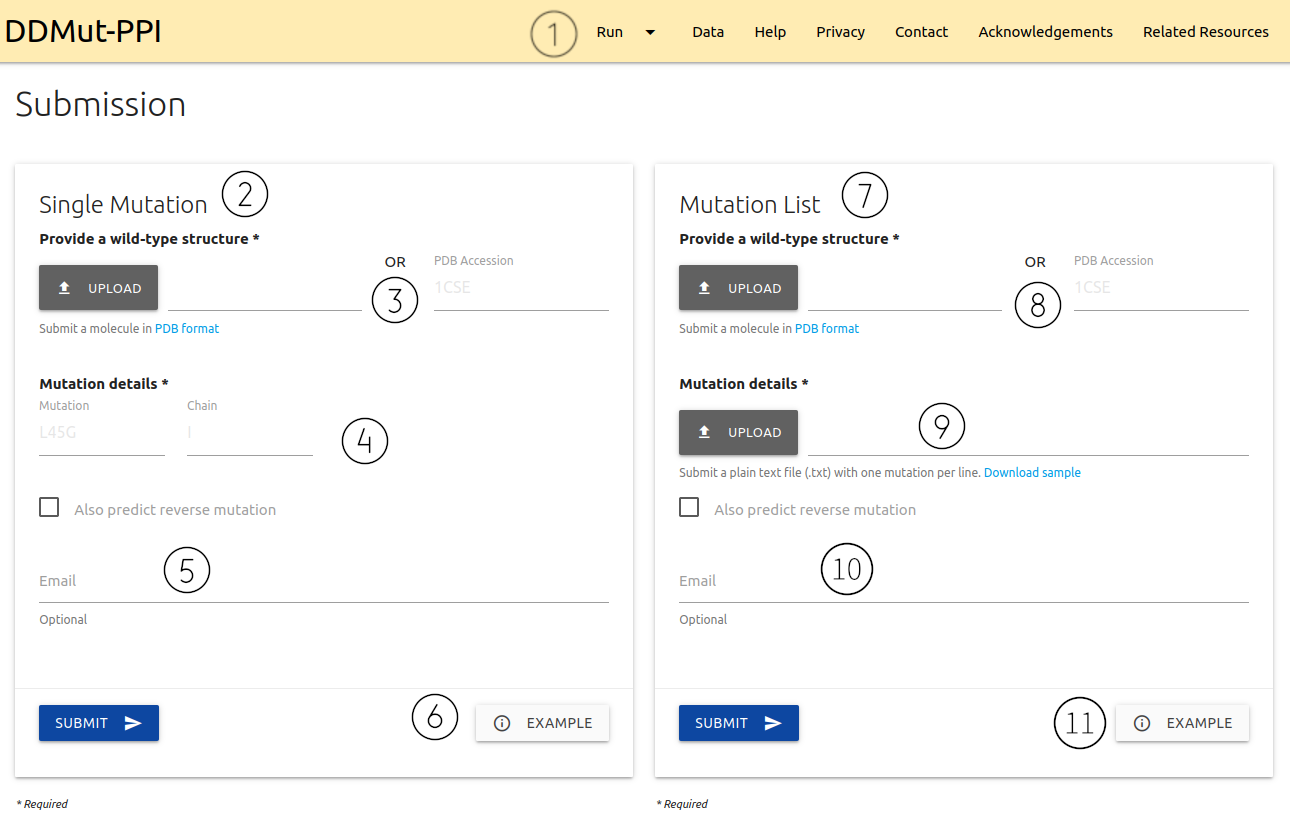 DDMut-PPI Submission page