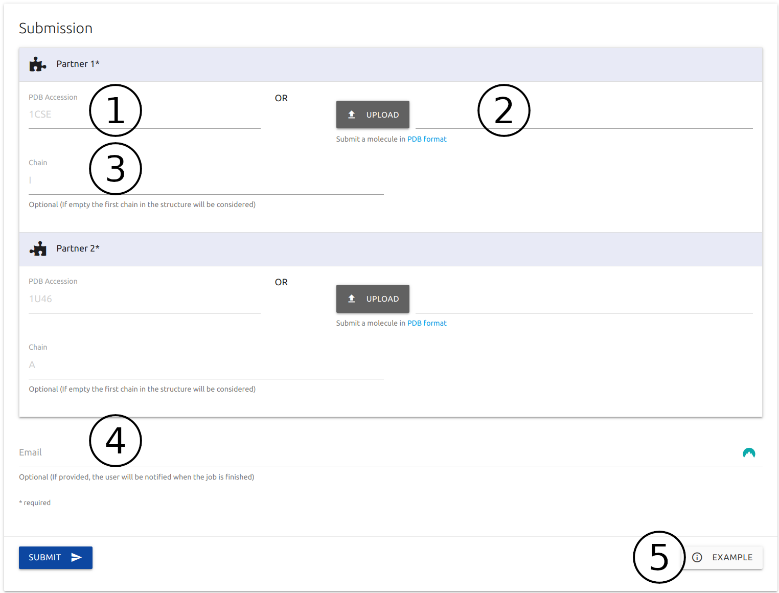 Input page for DockNet