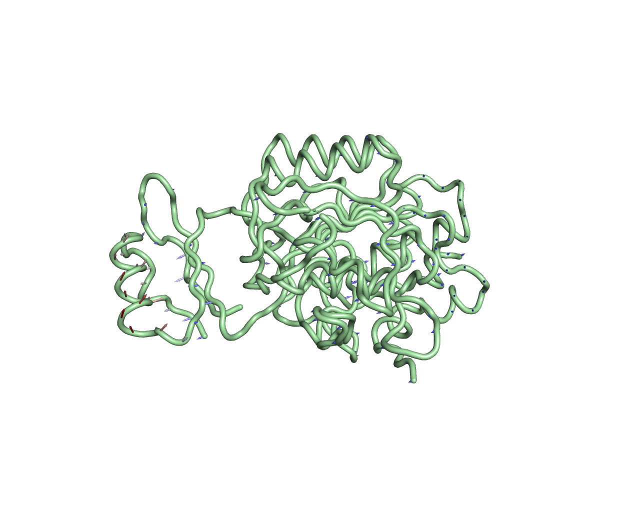 Protein-Protein Interaction