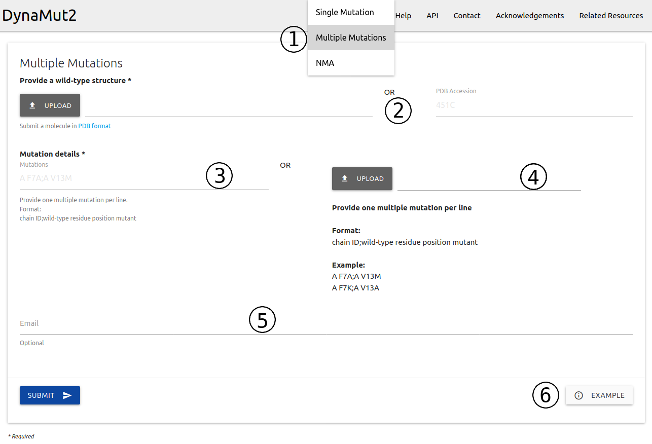 Input multiple mutations predictions DynaMut2