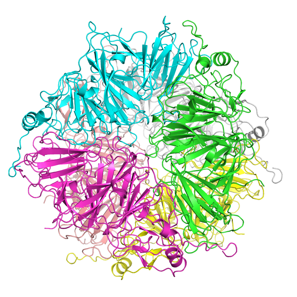 Protein-Protein Interaction