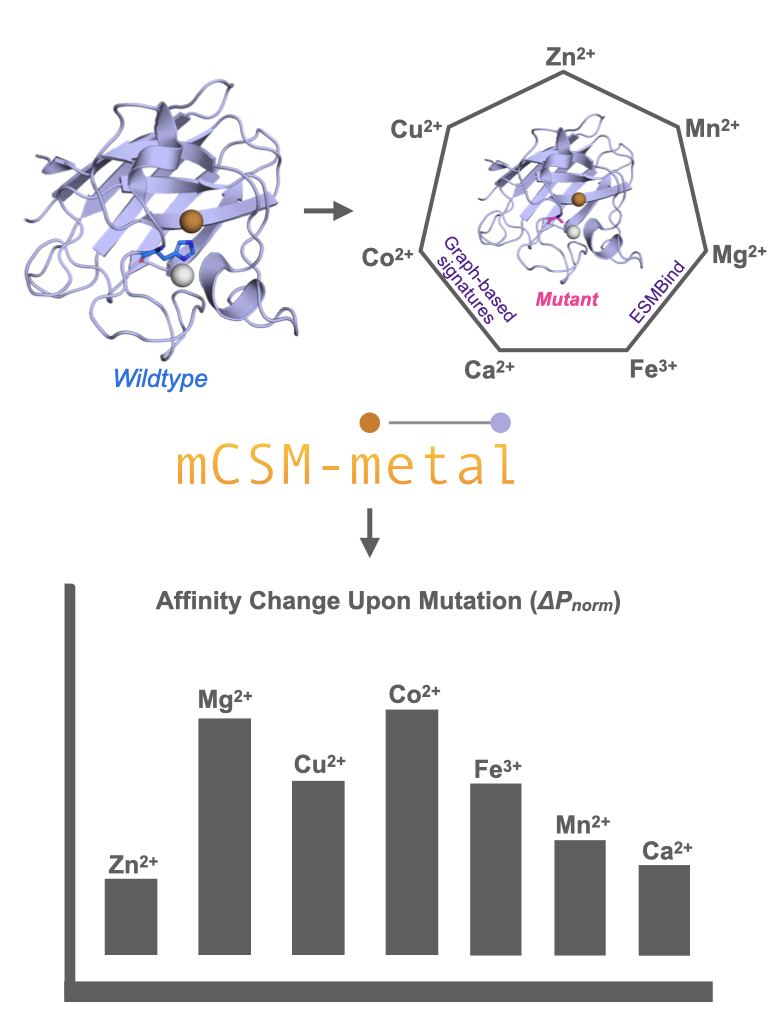 Description of the image