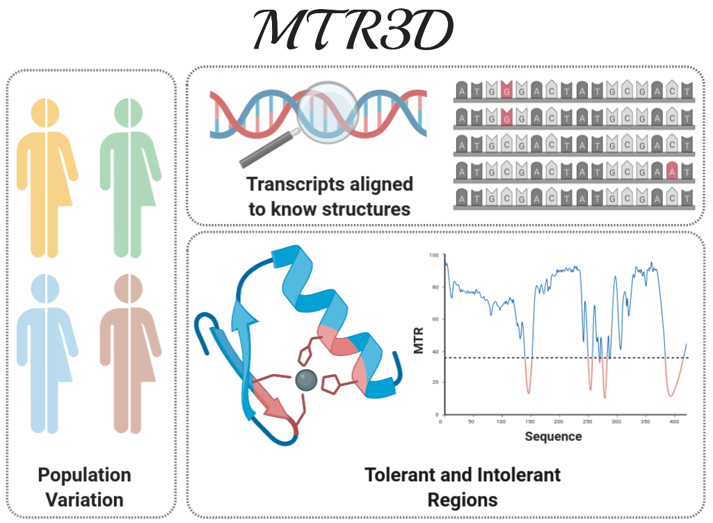 MTR3D methodology