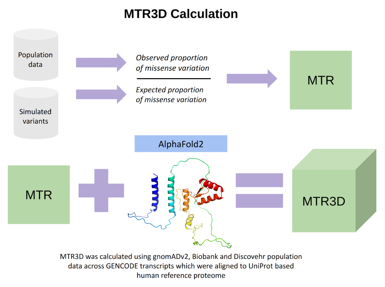 MTR3D-AF2 methodology