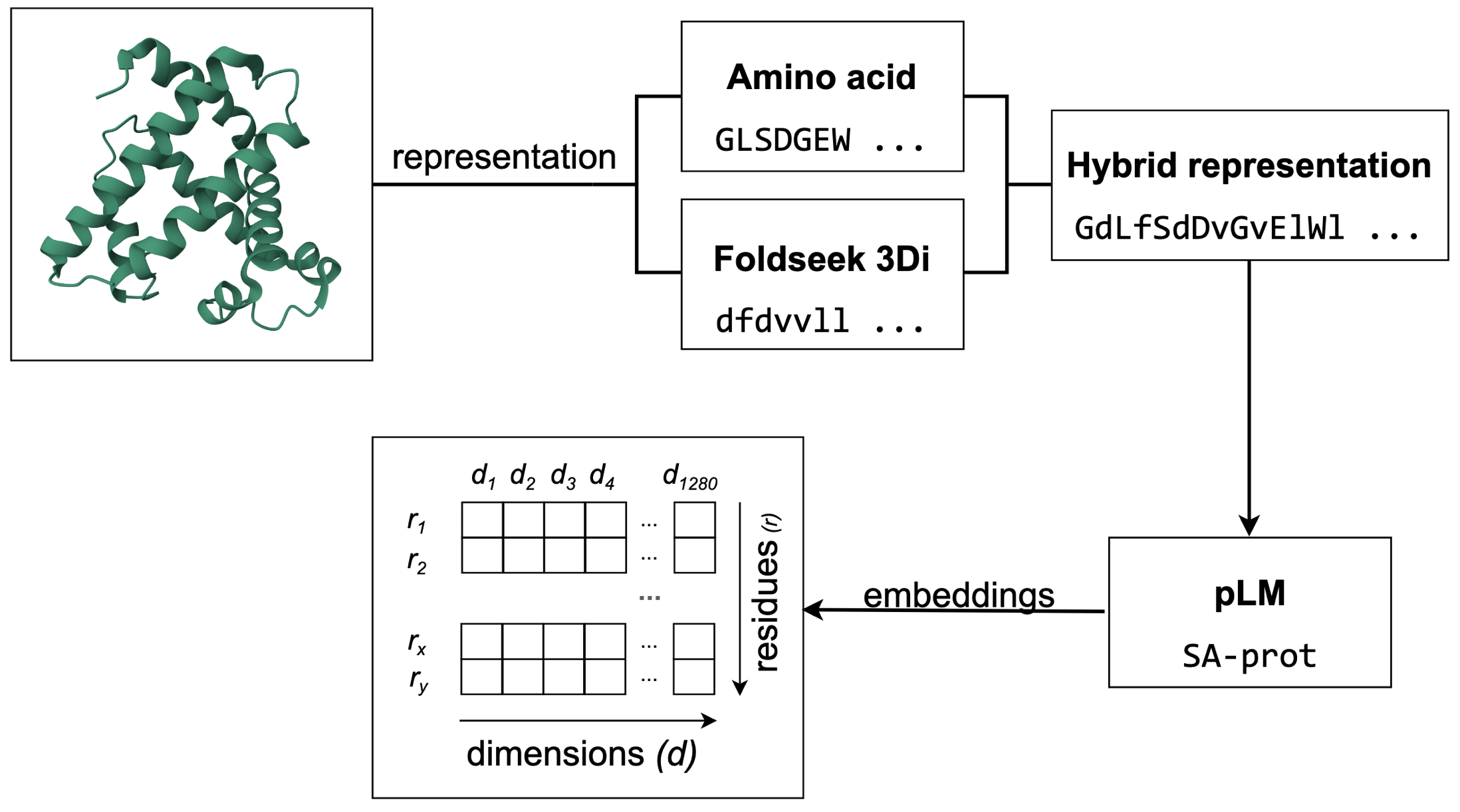 Workflow for generating hybrid embeddings from protein structures.