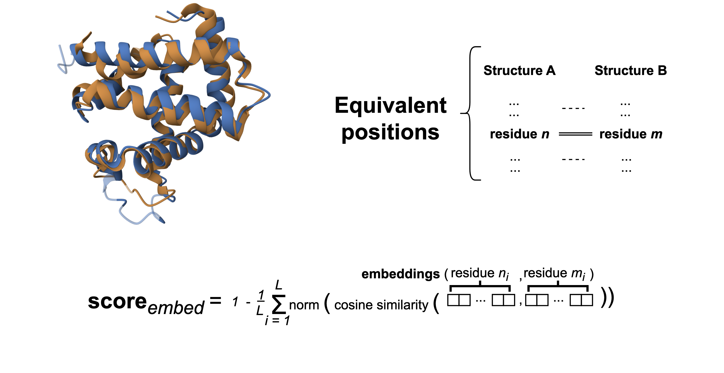 Workflow for generating hybrid embeddings from protein structures.